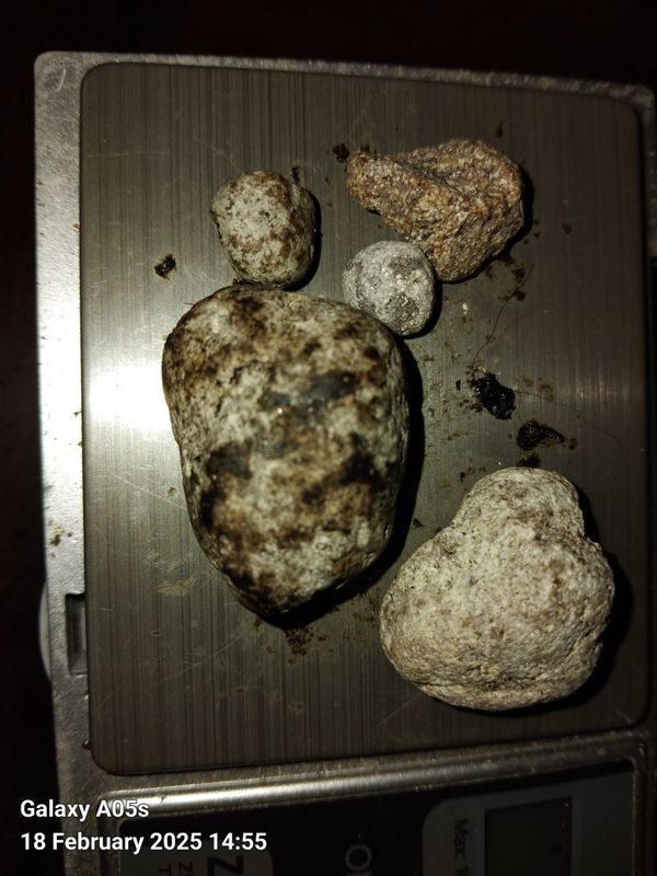 Ambergris selection(10grams)