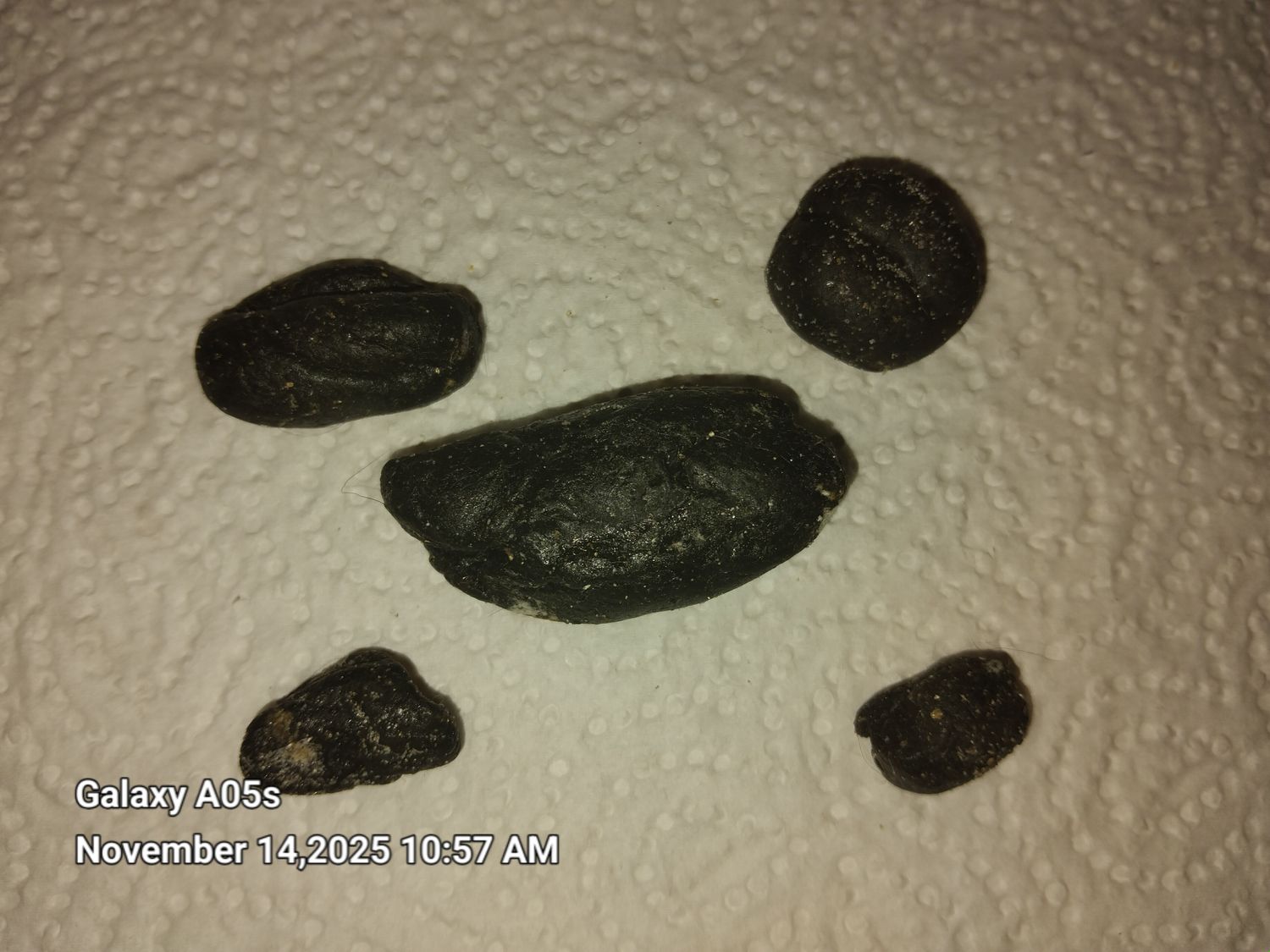 Ambergris- 15grams of Dark and Animalic