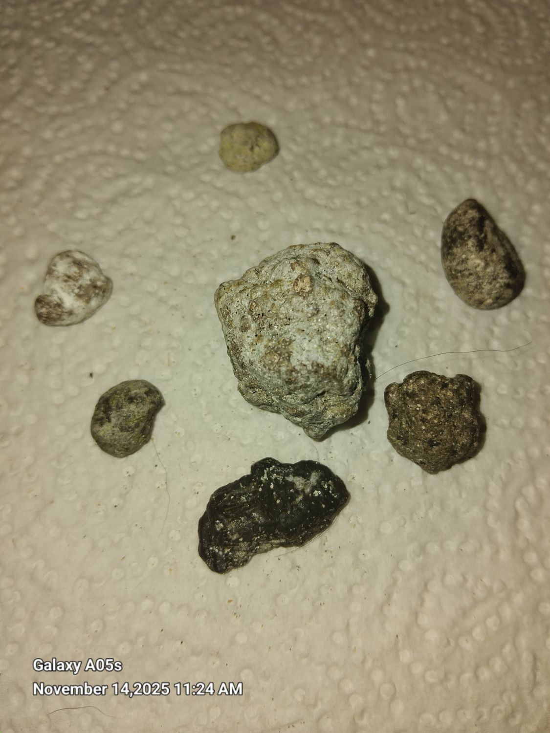 Ambergris- a Magificent 10gram group