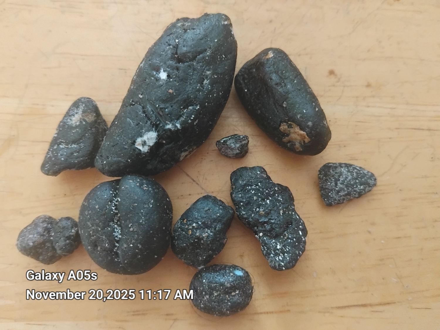 Ambergris- 18grams of Dark and Animalic