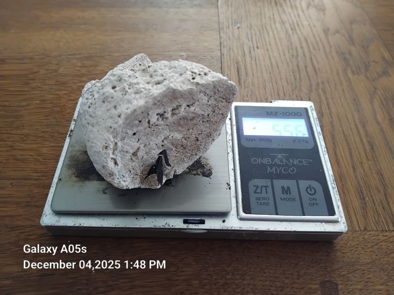Ambergris a Magnificent Stone of 54grams