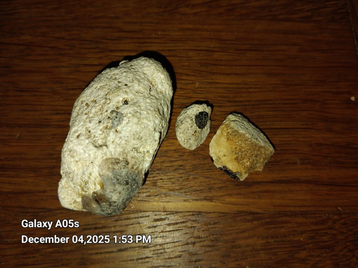 Ambergris - 10gram little grouping White and Richly fragranced