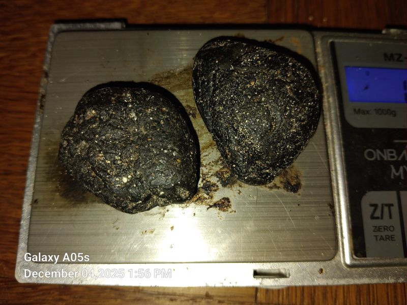 Ambergris- 15grams of Brown Ambergris