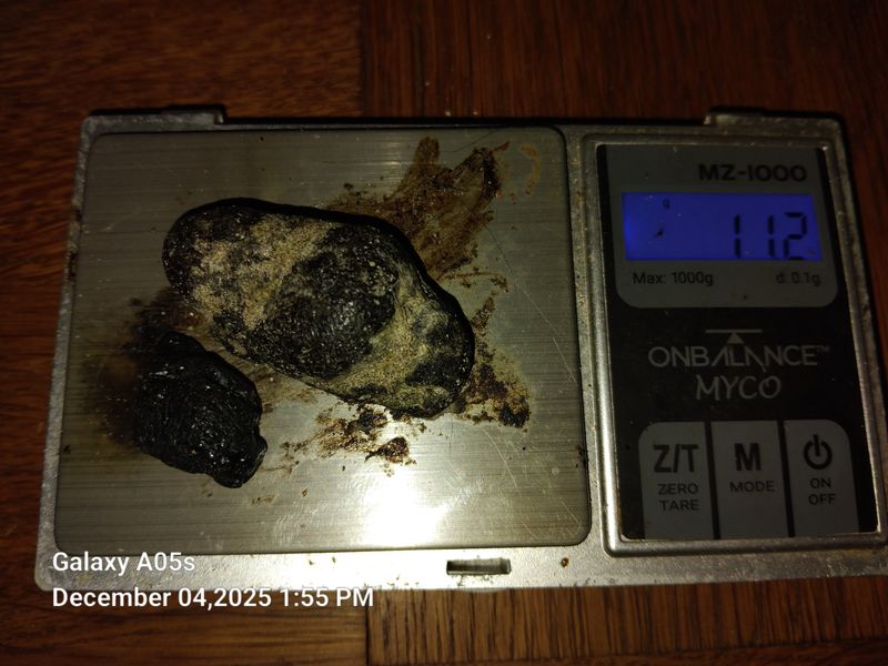 Ambergris- 10grams Of Brown