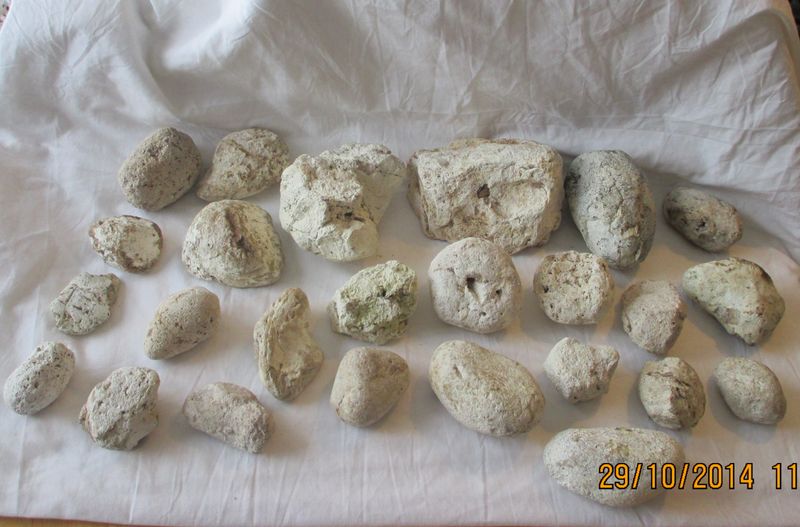 Ambergris Imperial White 100mls @5% in FCO