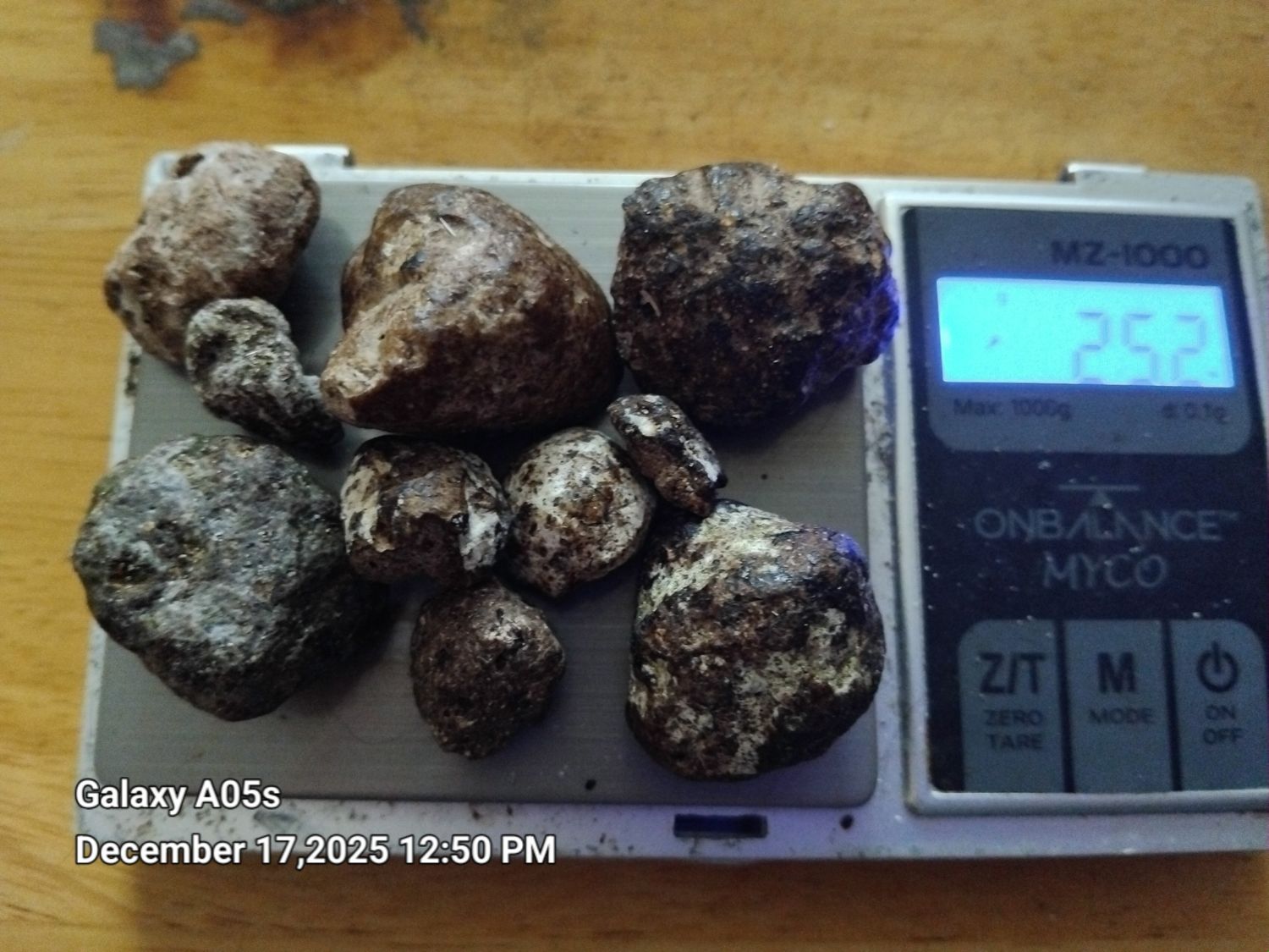 Ambergris- 25 grams of Dry Brown