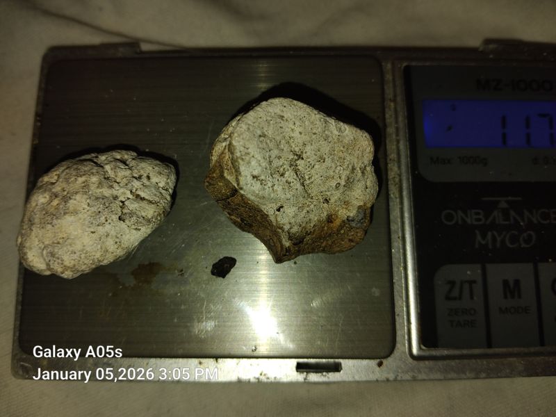 Ambergris - 11grams of Ancient White