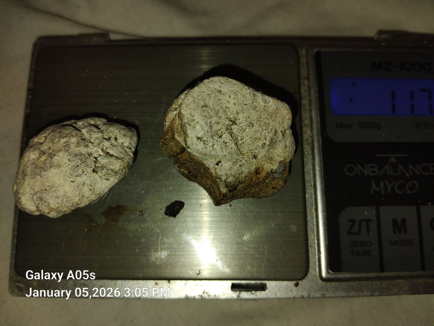 Ambergris - 11grams of Ancient White