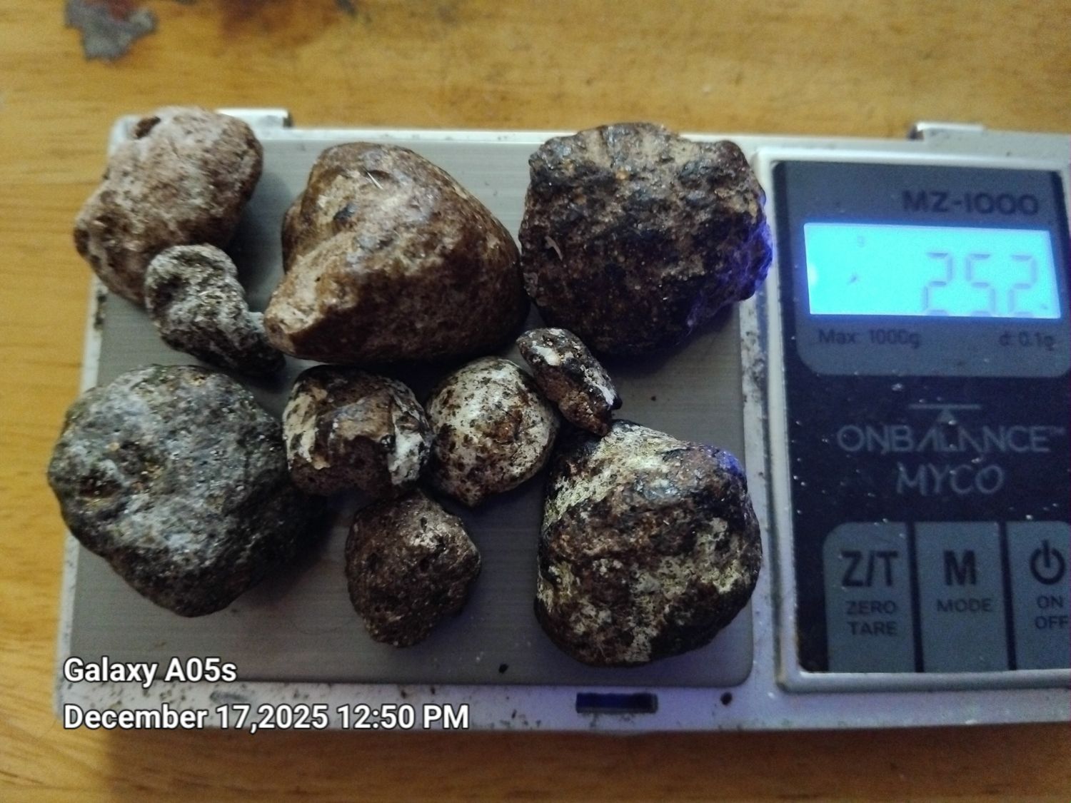 Ambergris- Individual Ambergris lots of 3grams