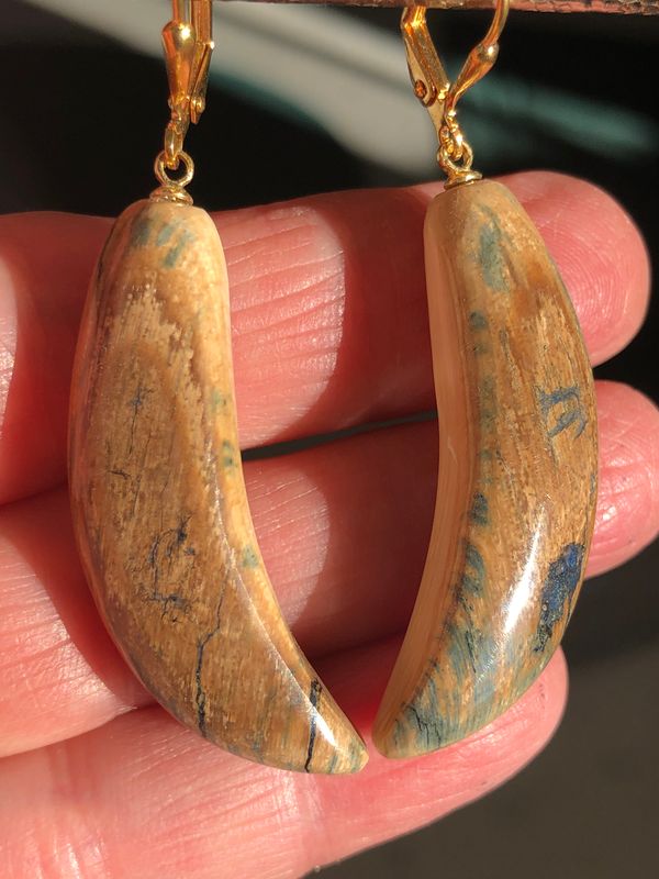 Alaskan Woolly Mammoth “blue bark” Ivory earrings!