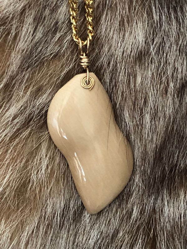 Alaskan Prehistoric Woolly Mammoth ivory gold filled necklace