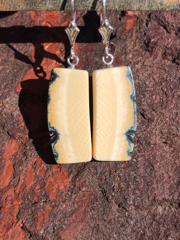 Rare Siberian Woolly Mammoth blue bark Ivory “Slice” Ice age earrings. Sterling Silver.