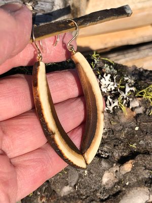 Alaskan Woolly Mammoth Ivory Tusk “Slice” “Ice Age” Gold Filled earrings!