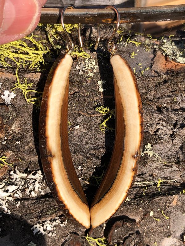 Alaskan Woolly Mammoth Ivory Tusk “Slice” “Ice Age” Gold Filled earrings!