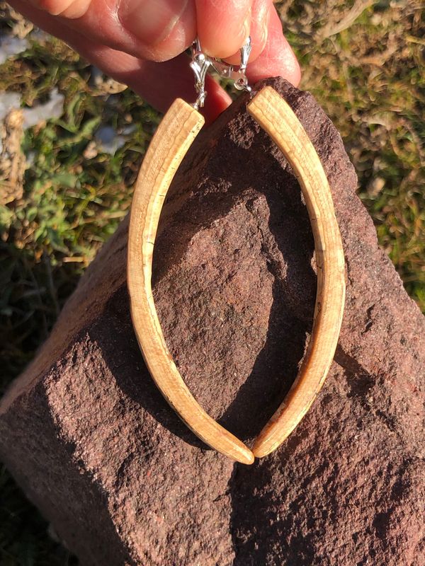 Alaskan Prehistoric Woolly Mammoth Ivory Tusk “Slice” “Ice Age” Sterling Silver Earrings