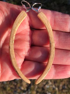 Alaskan Prehistoric Woolly Mammoth Ivory Tusk “Slice” “Ice Age” Sterling Silver Earrings