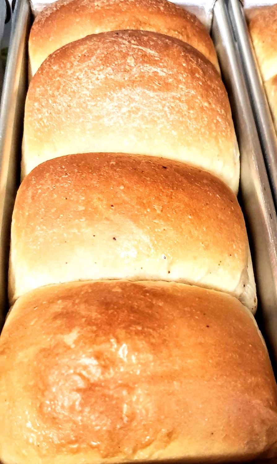 Laud Agege Organic Vegan Bread - Reg Size