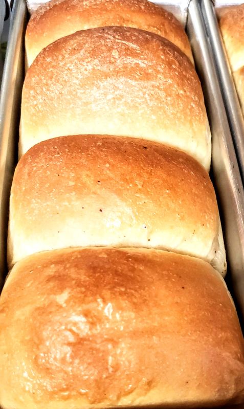 Laud Agege Organic Vegan Bread - Reg Size