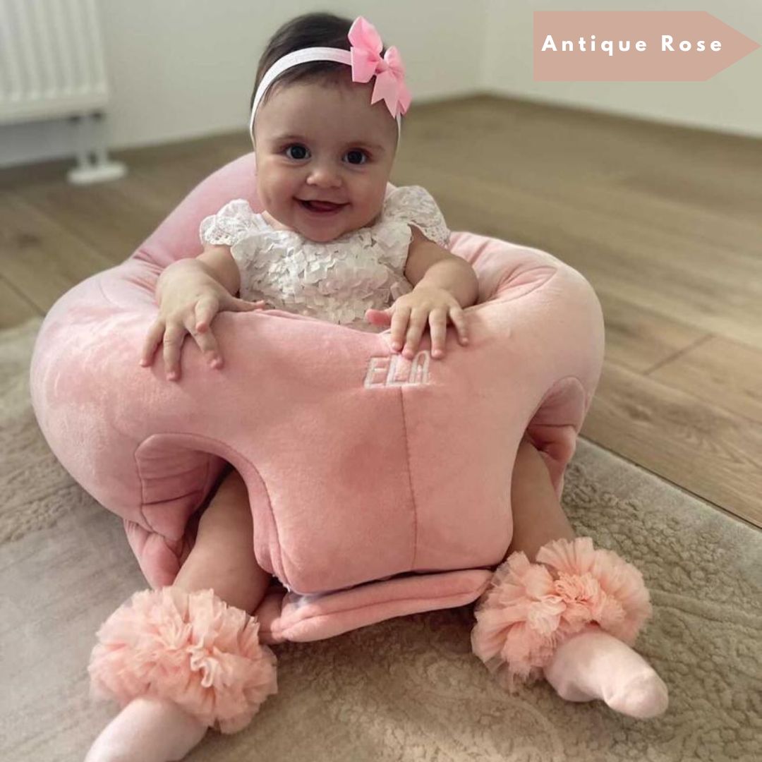 PBT Patented BabySeat 4m+
