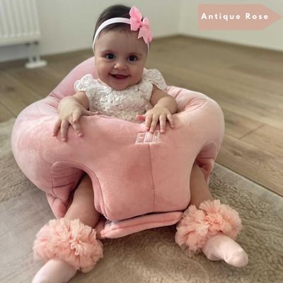 PBT Patented BabySeat 4m+