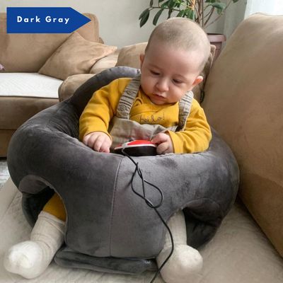 PBT Patented BabySeat 4m+