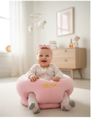 PBT Patented BabySeat 4m+