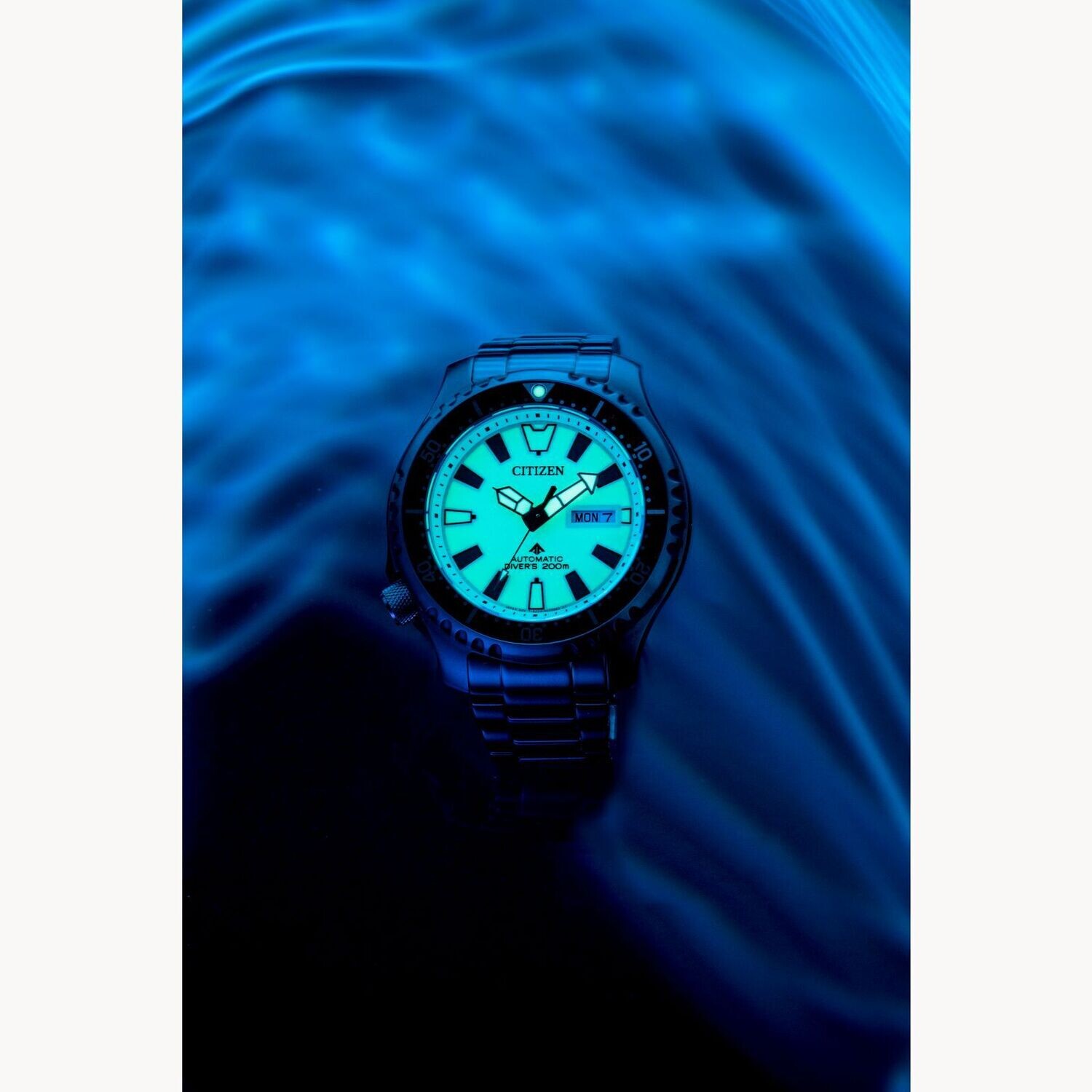 Citizen Promaster Dive Automatic