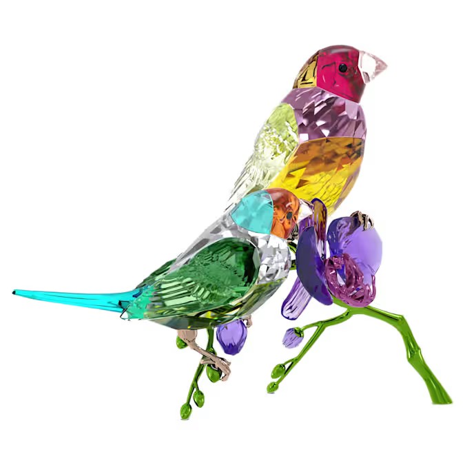 Swarovski SCS Gouldian Finches Idyllia 2024