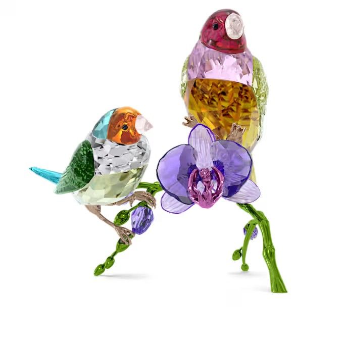 Swarovski SCS Gouldian Finches Idyllia 2024