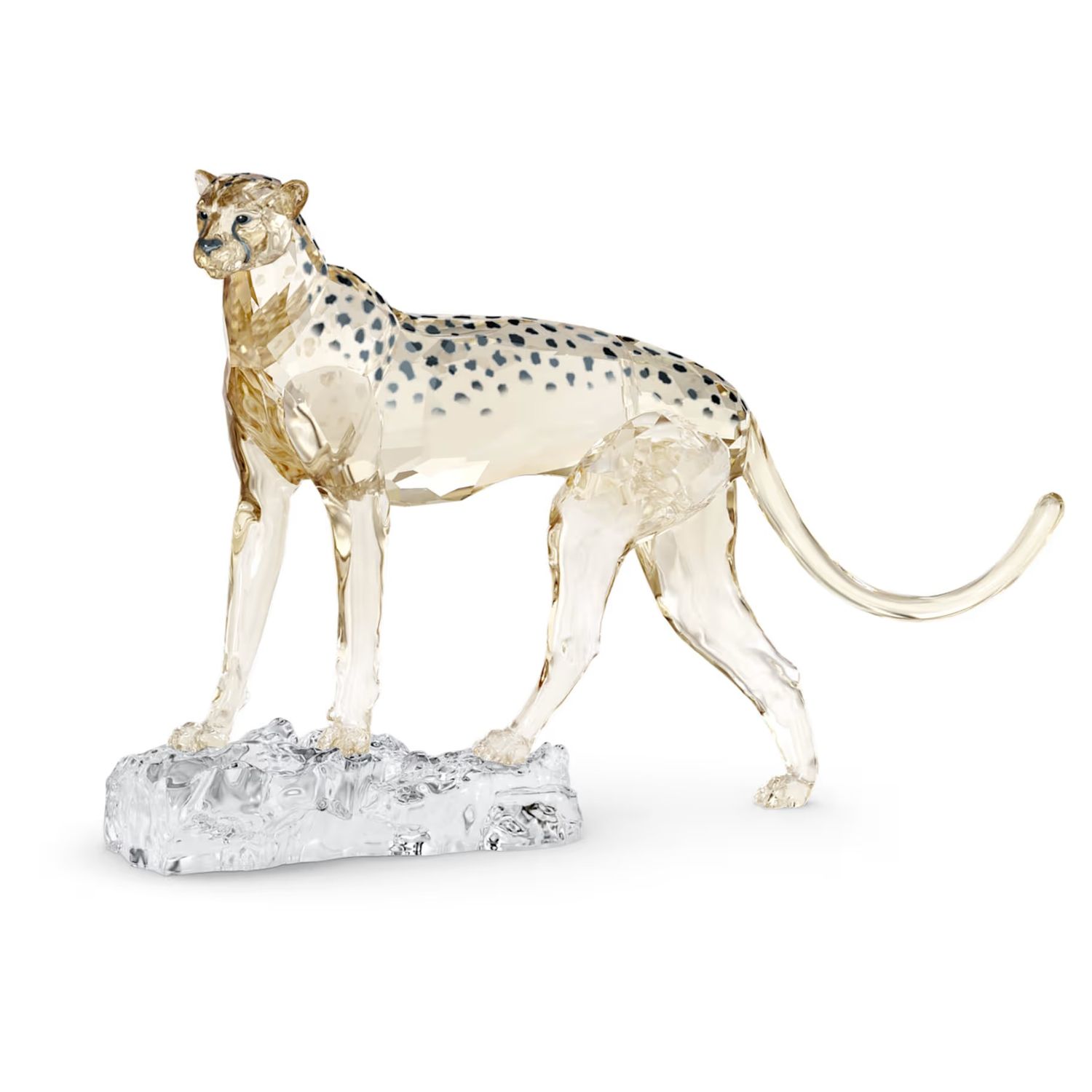 Swarovski SCS Cheetah Mehira Annual Edition 2023