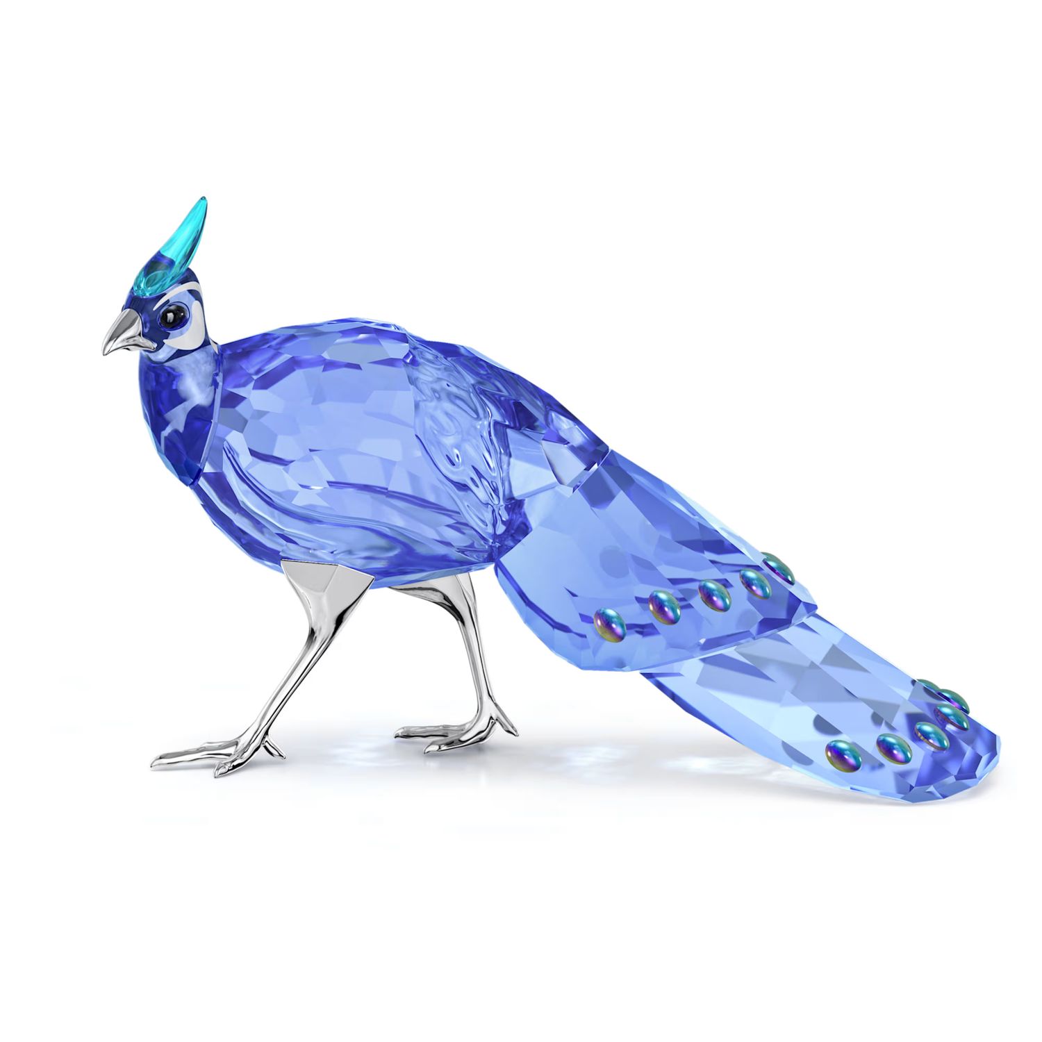 Swarovski SCS Palawan Peacock-Pheasant