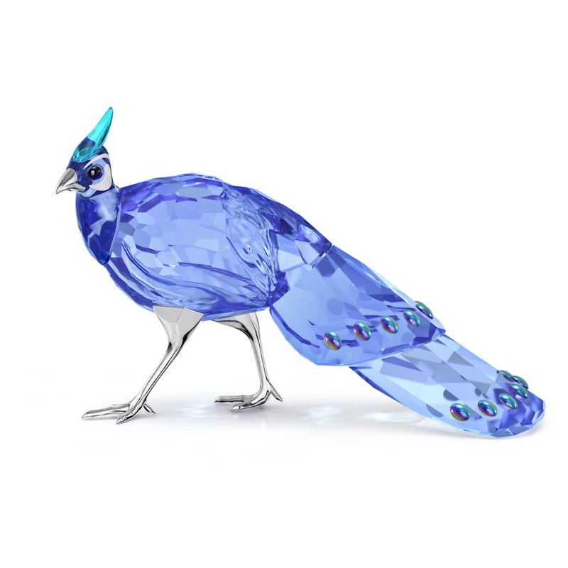 Swarovski SCS Palawan Peacock-Pheasant