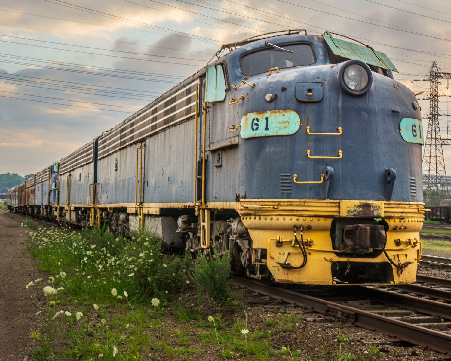 Majestic Diesel Train in Steelyard at Cleveland, Ohio