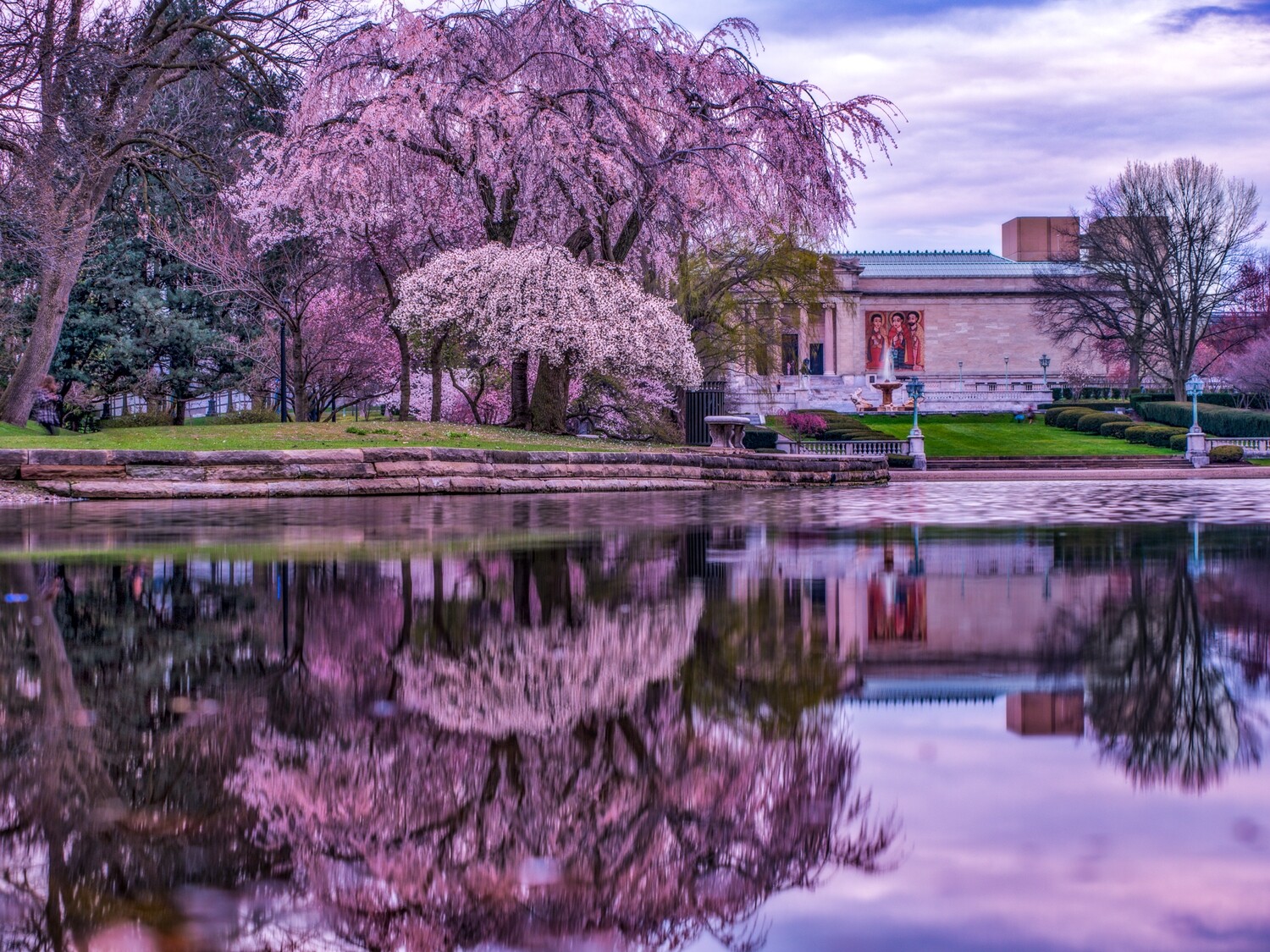 Beautiful Blossoms at Wade Lagoon