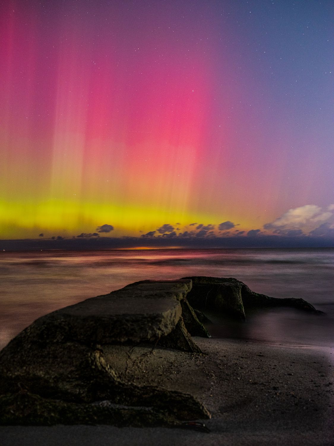 Northern Lights at Edgewater Dog Beach