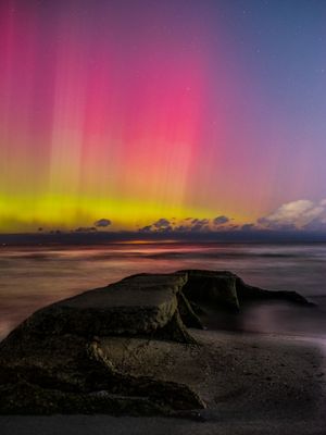 Northern Lights at Edgewater Dog Beach