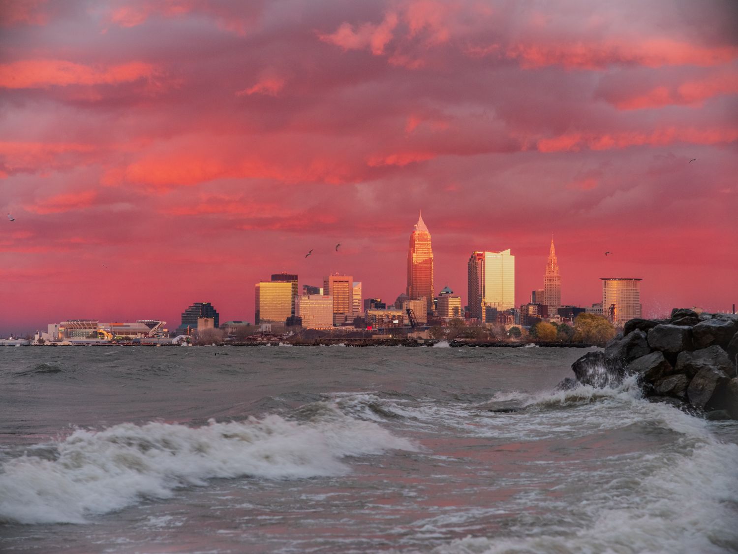Red CLE