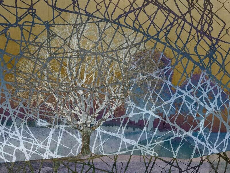 NETWORK
