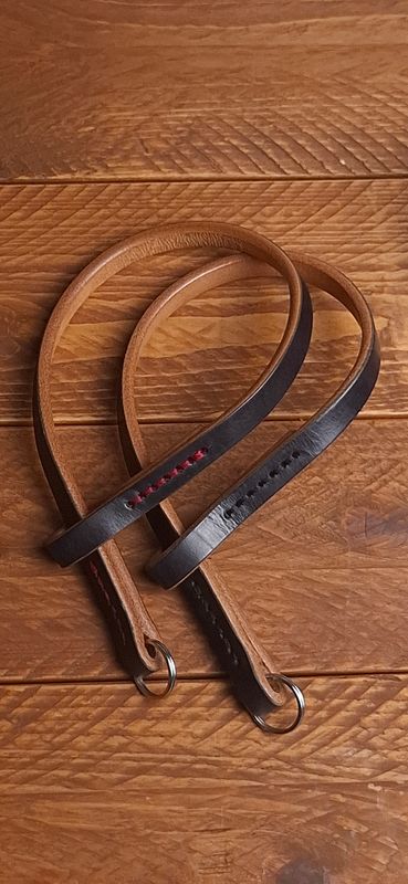 Stray Dog's Camera Leash
