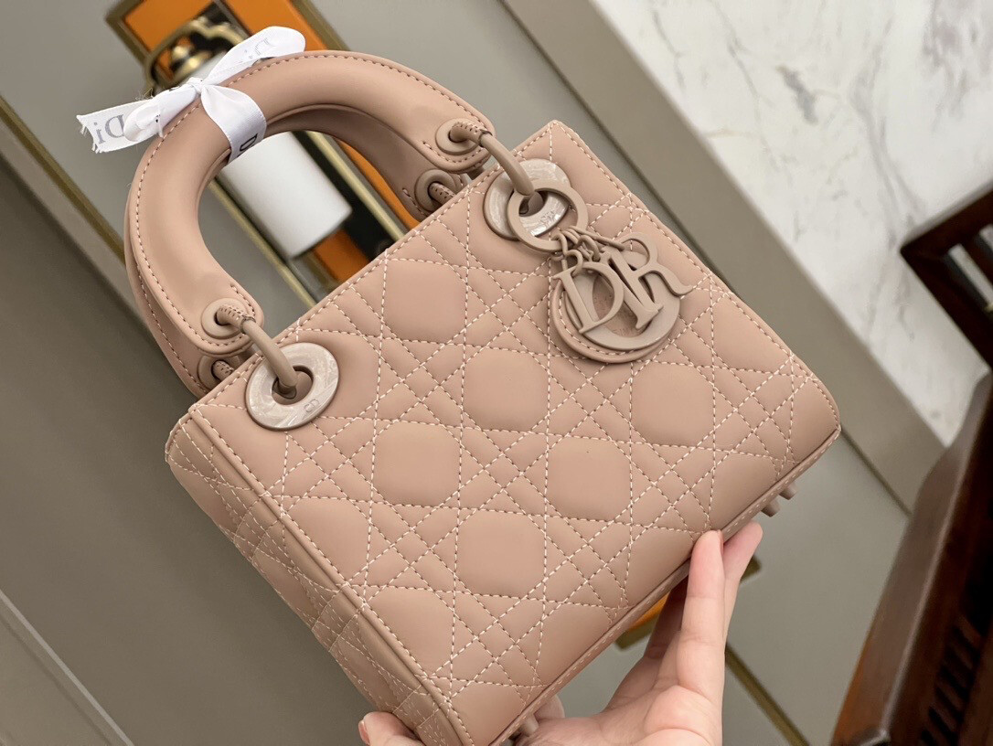 High Quality Leather Lady D Bag In Taupe (missing Letter I)