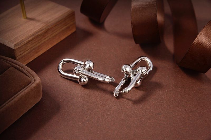 High Quality Tifflink Hardware Drop Earrings In Gold &amp; Silver Size Small