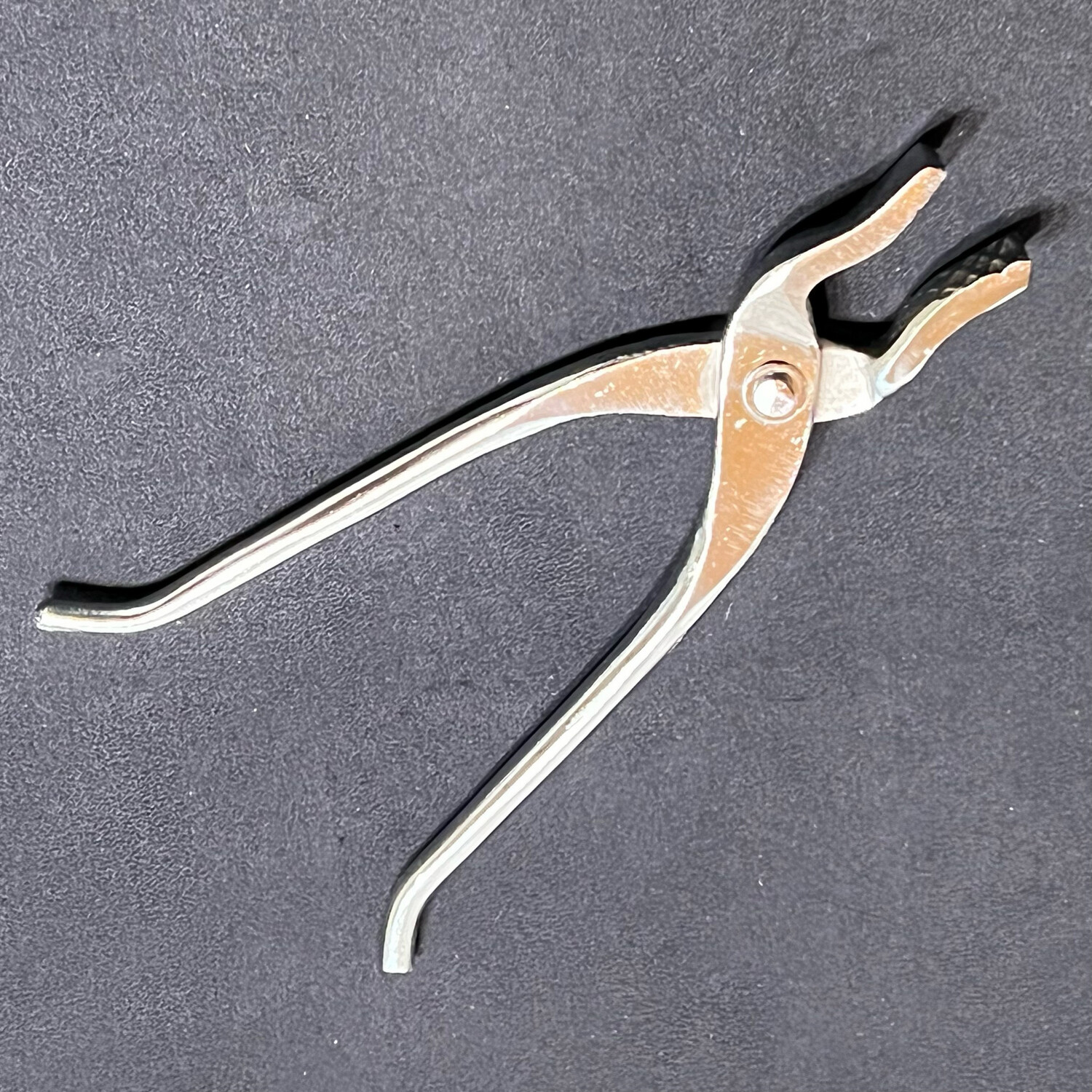 Hitohira Ginkgo Nut Cracker