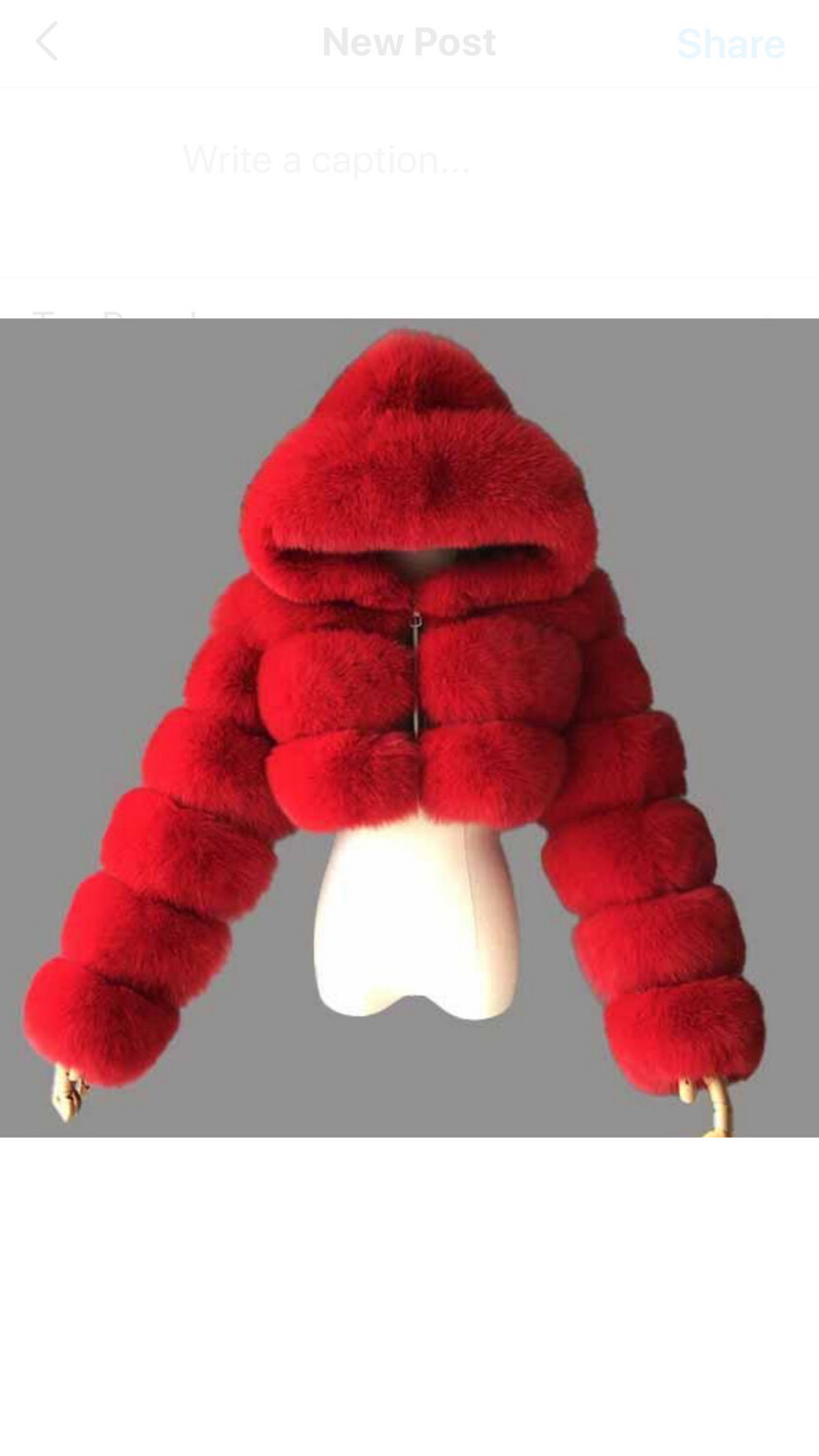 BaggLady Faux Coat