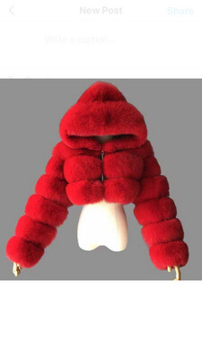 BaggLady Faux Coat