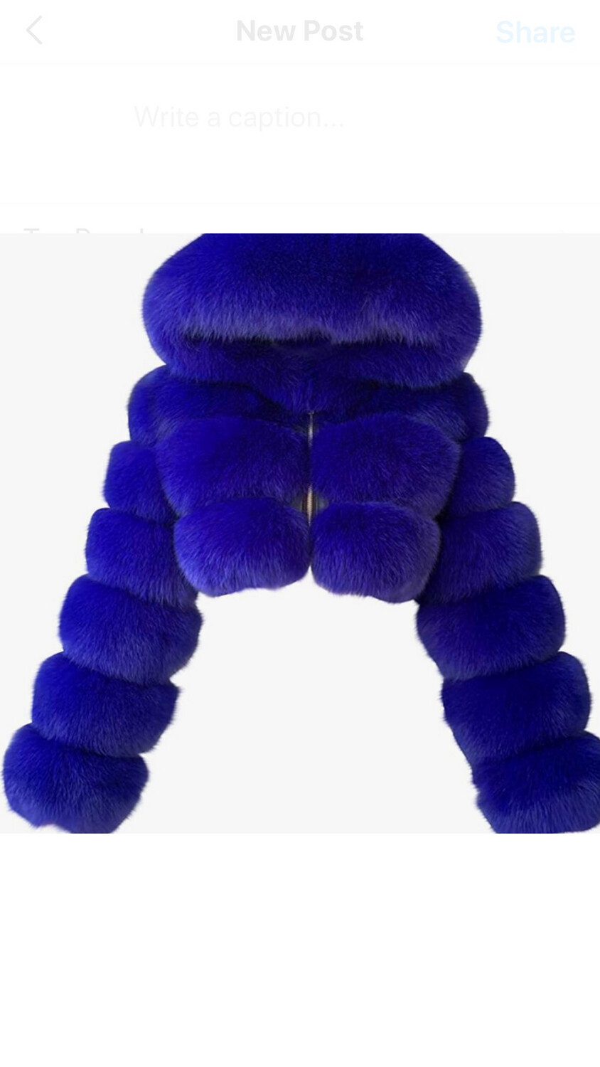 BaggLady Faux Fur Coat ( With Or Without Hoodie )