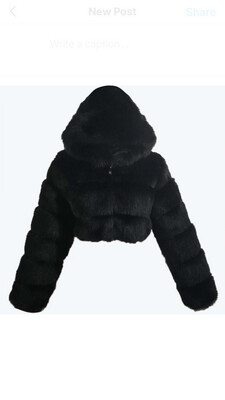 BaggLady Faux Fur Coat ( With Or Without Hoodie