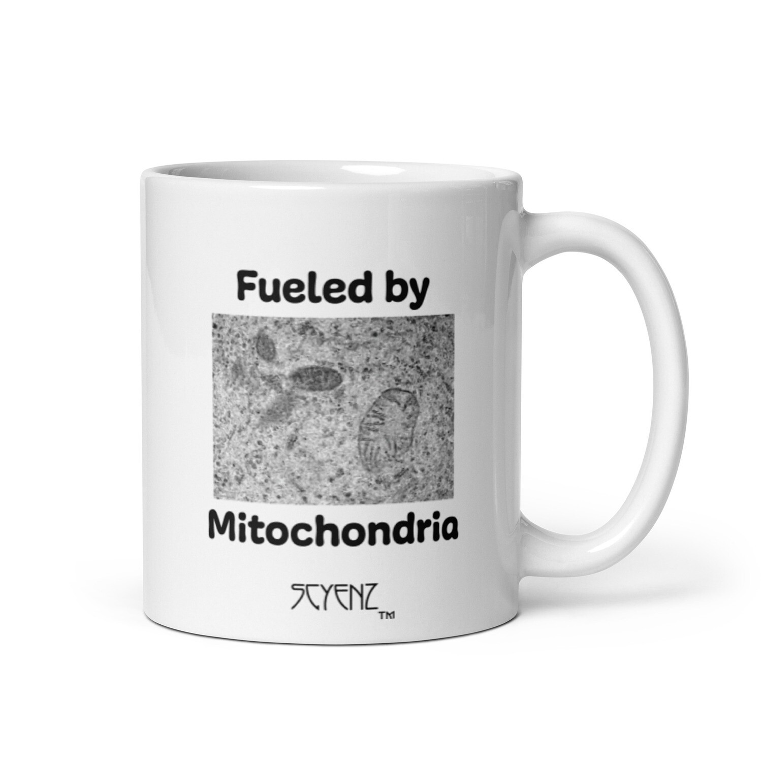 Mitochondria_1 SCYENZ White glossy mug - Science and Math Collection, Size: 11oz