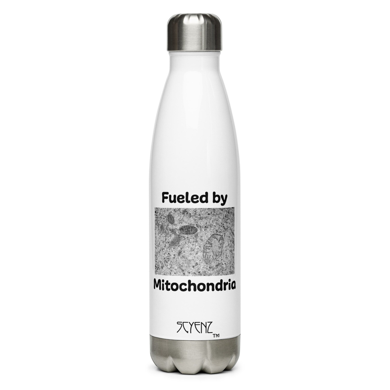 Mitochondria_1 SCYENZ Stainless Steel Water Bottle - Science and Math Collection