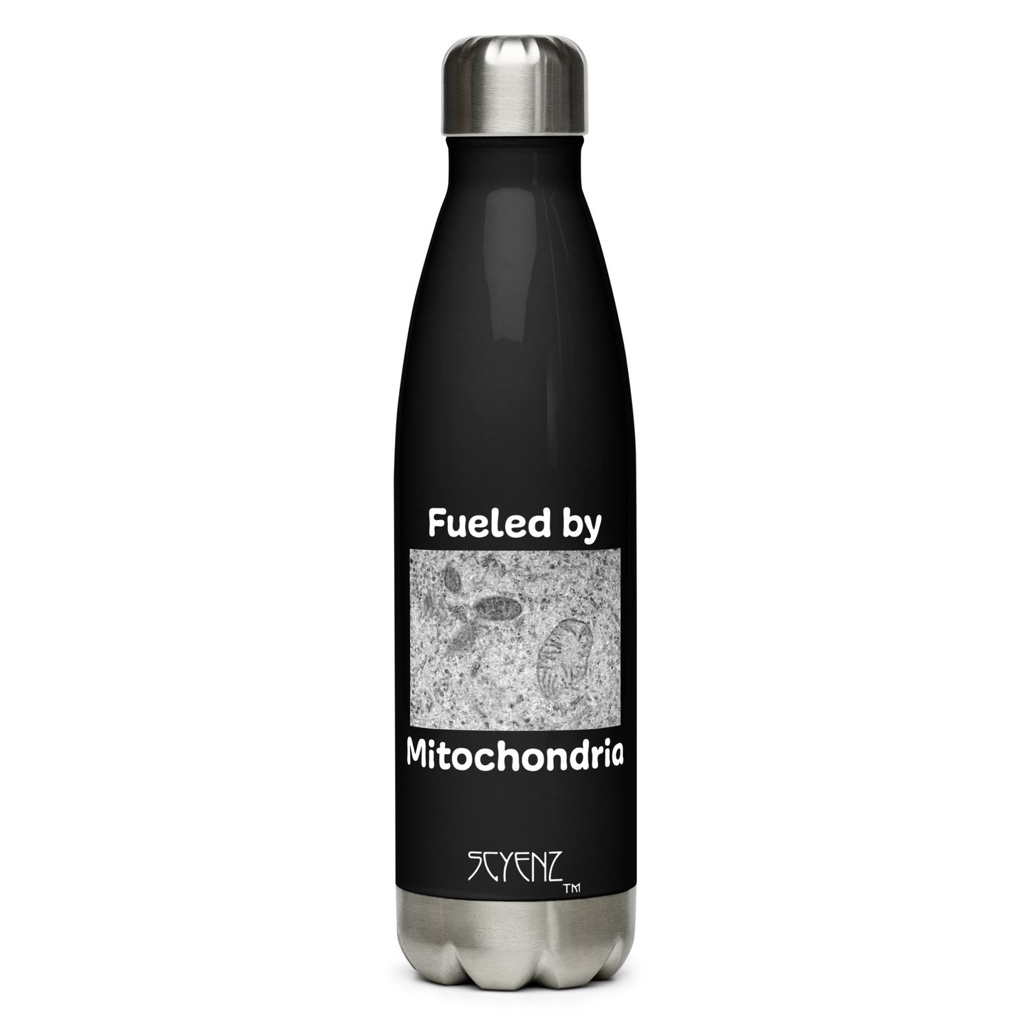 Mitochondria_1 SCYENZ Stainless steel water bottle - Science and Math Collection