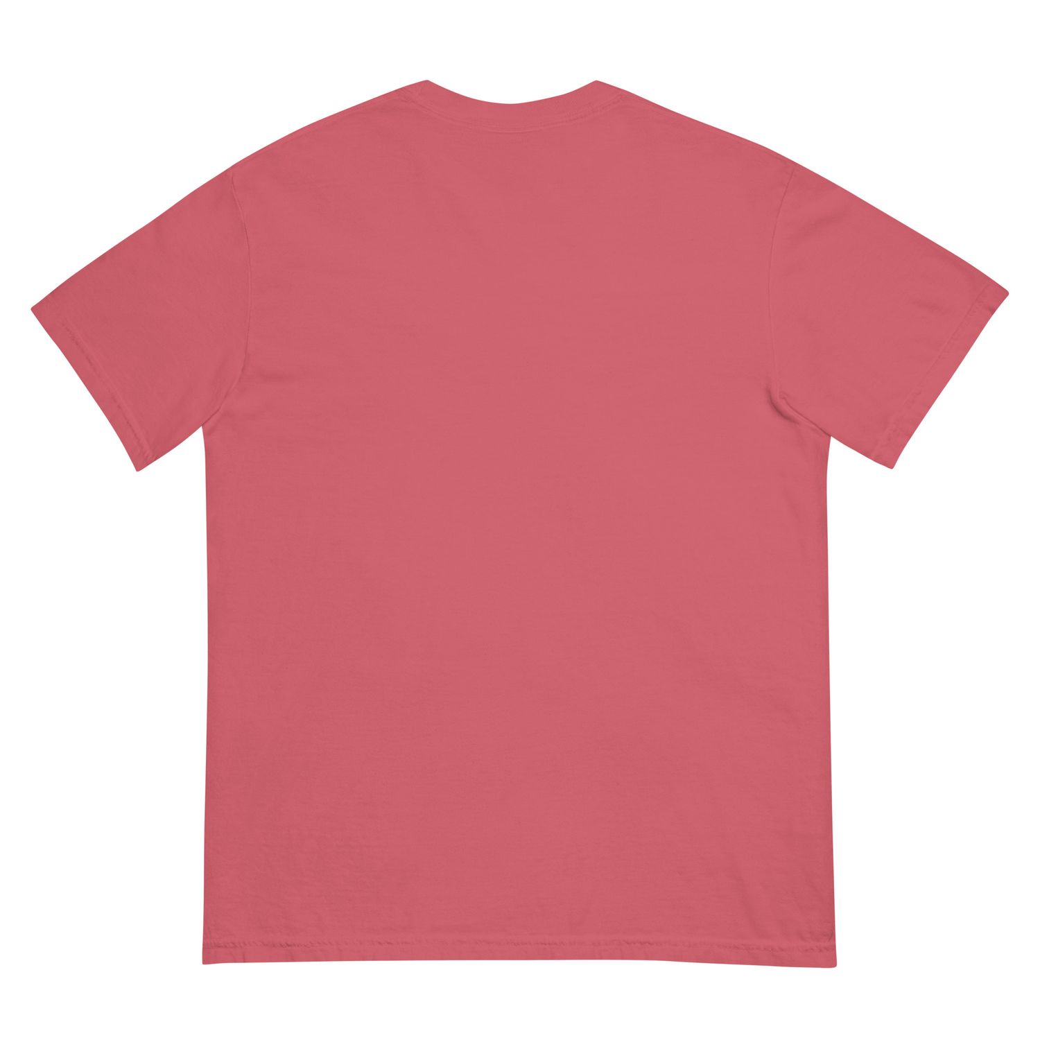 The_Movement SCYENZ Unisex garment-dyed heavyweight t-shirt